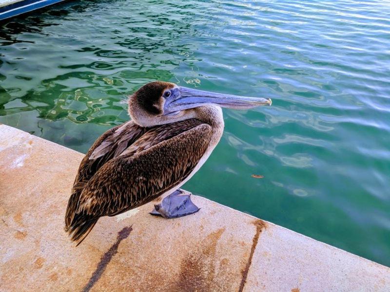 Bahia Principe & Golf Residences 툴룸 외부 사진